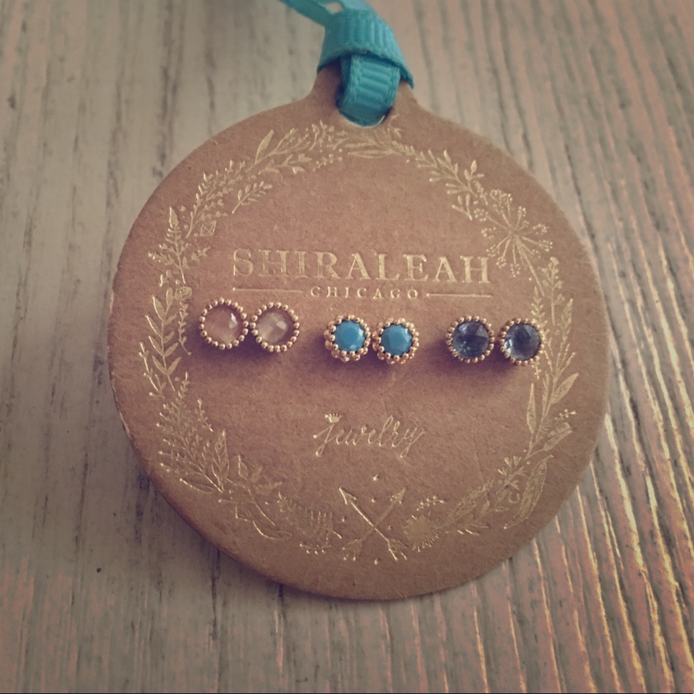 Beautiful Stud Earring Set